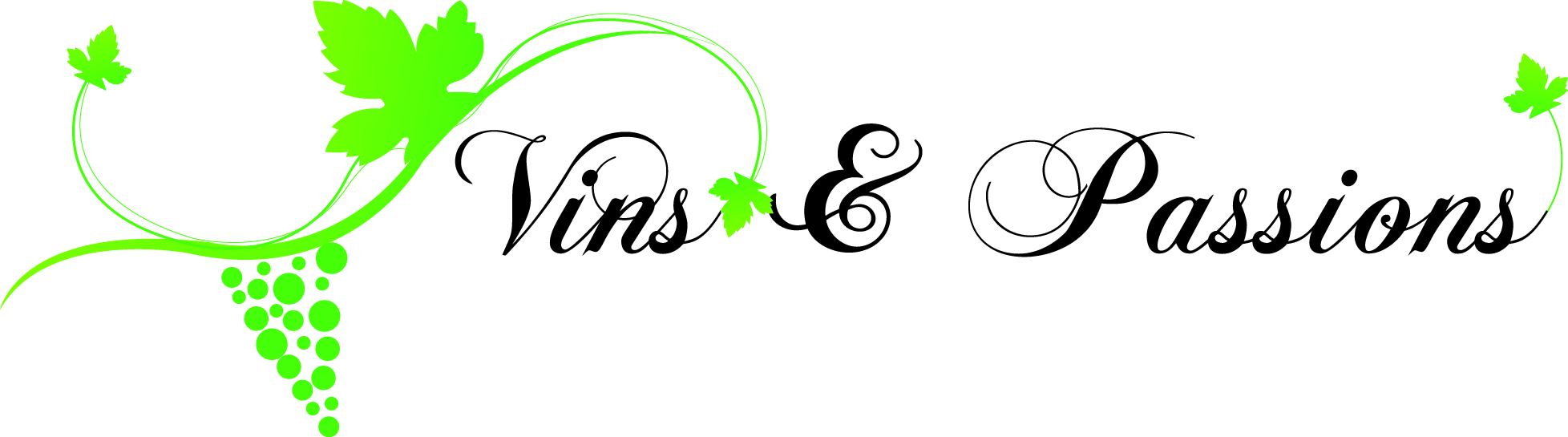 logo vin et passion
